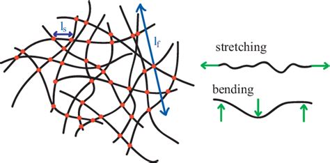 Figure From Nonaffine Rubber Elasticity For Stiff Polymer Networks