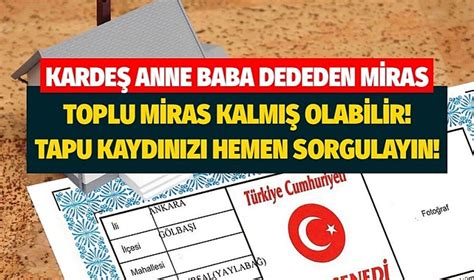 Belki De Habersiz Milyoner Oldunuz E Devlet Zerinden Tapu Ve Miras