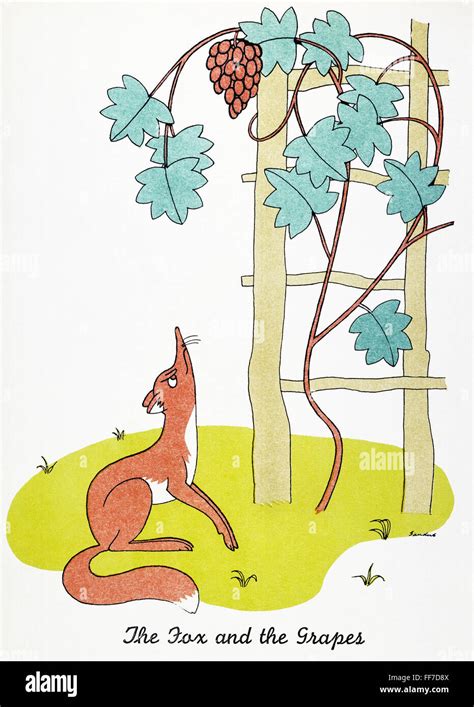 AESOP: FOX AND GRAPES. /n'The Fox and the Grapes.' Drawing by ...