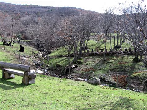 Unesco Bien Causses And Cévennes Cpie Causses