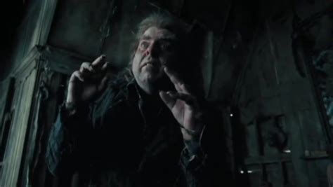 Harry Potter Lore Peter Pettigrew Fandom