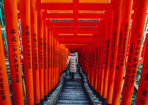 9 Tokyo Shrines To Visit To Learn About Japanese History and Culture ...