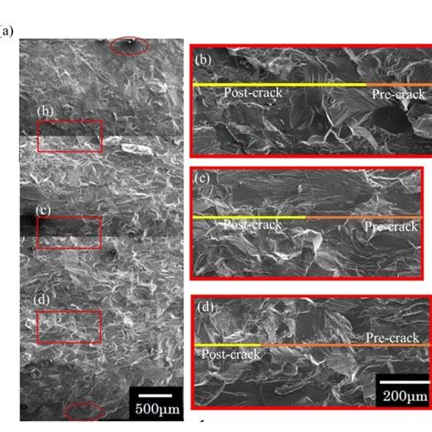 Sem Images Showing Fracture Surfaces Of The Al Cu Mg Alloy Aged