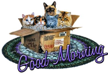 good-morning-cats-ag1 at Animated-Gifs.org