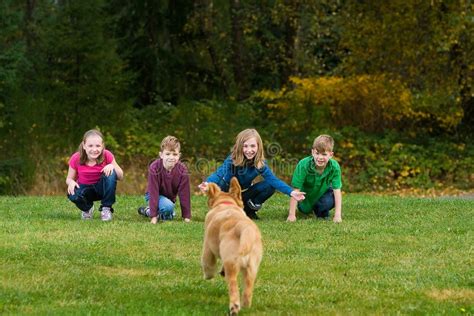 A Group Of Kids Calling Their Dog To Them Stock Image Image Of Kids