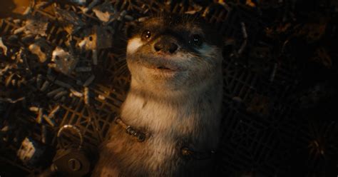 Who Is The Otter In Guardians Of The Galaxy Vol 3