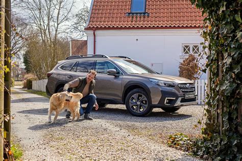 Modèles Subaru idéaux pour les propriétaires de chiens Option Subaru