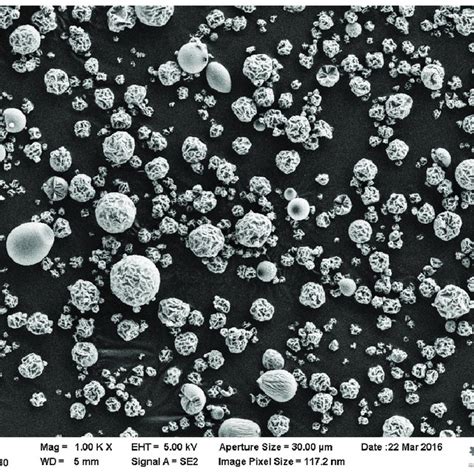 Sem Images Of Pramlintide Loaded Silica Microparticles Magnification