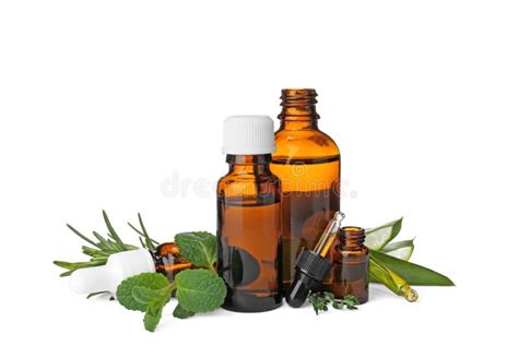 Bottles With Essential Oils And Fresh Herbs Stock Photo Image Of