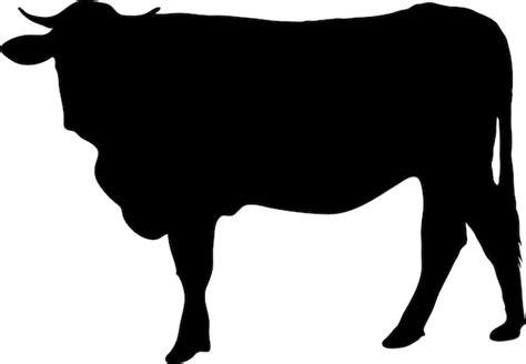 Ícone gráfico de vaca silhueta preta de vaca isolada em fundo branco