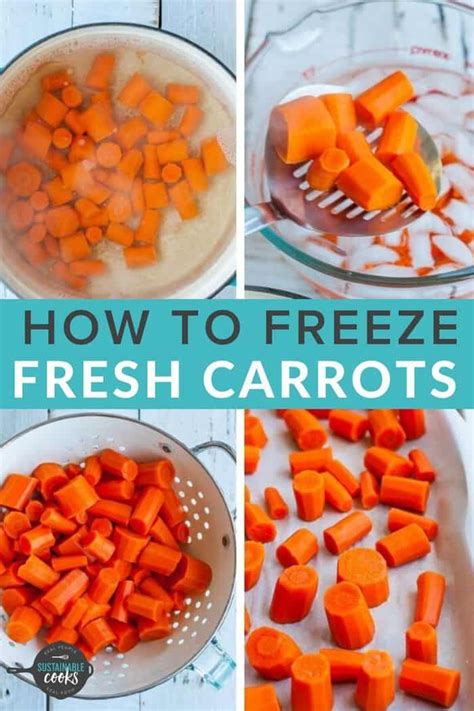 Learning How To Freeze Carrots Is A Great Way To Preserve This