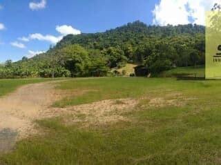 Terrenos Venda Em Padre Martinho Stein Timb Trovit