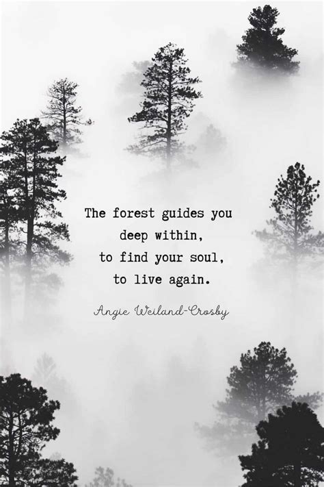 Tree Quotes Forest Quotes That Branch To Your Soul Forest Quotes