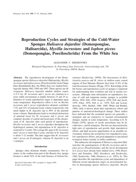 (PDF) Reproduction Cycles and Strategies of the Cold-Water Sponges ...