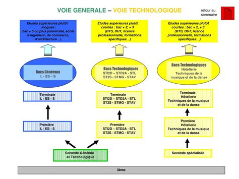 PPT LES PARCOURS DETUDES APRES LA 3e PowerPoint Presentation Free