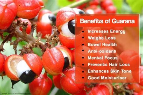 Benefits of Guarana, the Energy-booster Plant from Amazon Rainforest