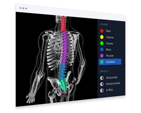 Biodigital 3d Human Studio