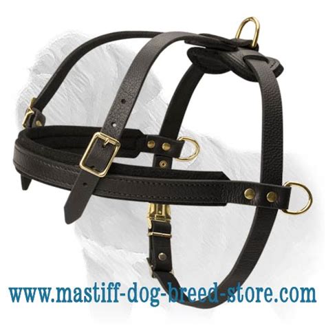 Pulling Tracking And Every Day Mastiff Leather 【harness】 With Strap