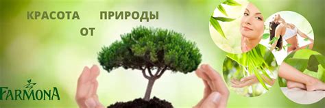 Профессиональная косметика/космецевтика Farmona | Эффективная ...