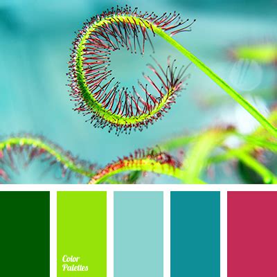 color of turquoise | Color Palette Ideas