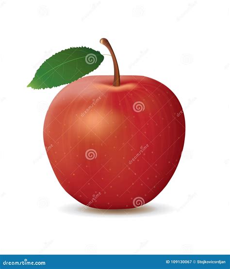 Red Apple On White Background Stock Vector Illustration Of Apples