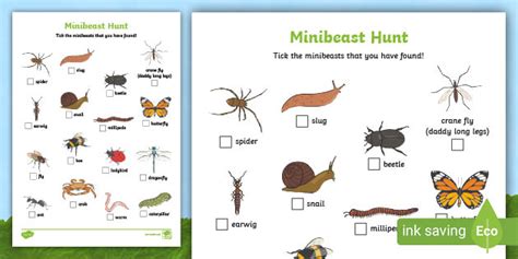 Minibeast Hunt Sheet Teacher Made