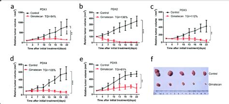 Gimatecan Inhibits Tumor Growth In Patient Derived Xenograft PDX