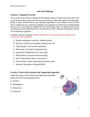 Cells And Histology Assignment Docx Biol K Lab Online Cells And