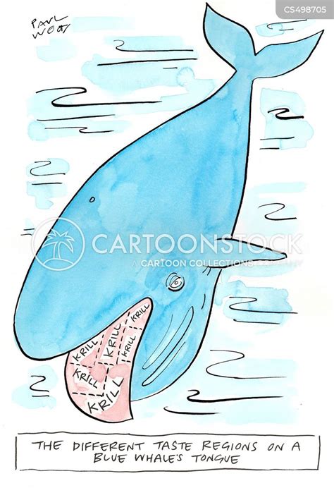 Blue Whale Cartoons and Comics - funny pictures from CartoonStock