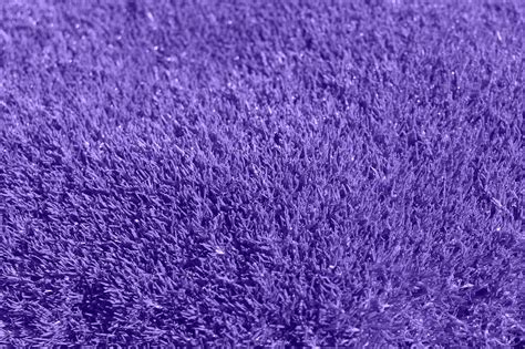 Background Purple Grass - Free photo on Pixabay