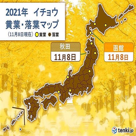 函館でカエデとイチョウが紅葉 秋田は早くもイチョウが落葉 紅葉が見ごろの所は 2021年11月8日掲載 ライブドアニュース