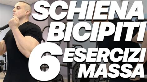 Scheda Massa Schiena E Bicipiti In Palestra Esercizi In