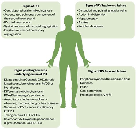 Pulmonary hypertension: recognition, diagnosis and management - The
