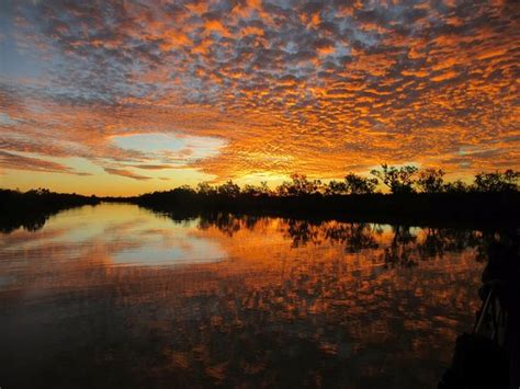 THE 5 BEST Things to Do in Longreach - 2019 (with Photos) - TripAdvisor