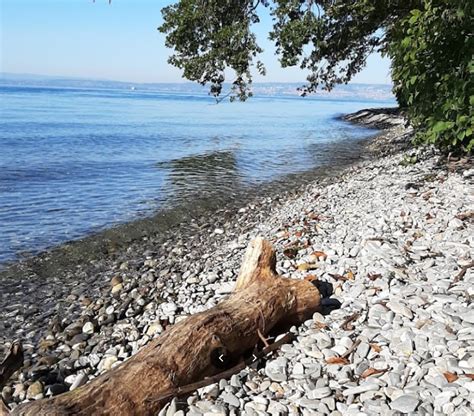 Plage Naturiste De La Pin De De Thonon Les Bains Lieu De Drague Sur