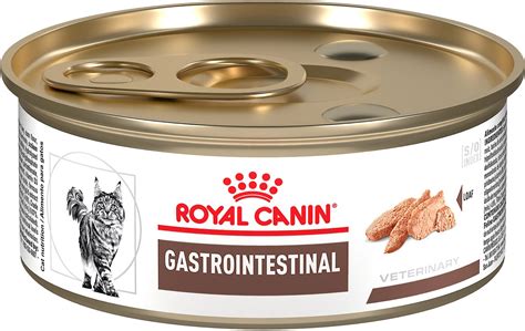 ROYAL CANIN VETERINARY DIET Gastrointestinal High Energy Canned Cat ...