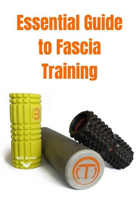 The Essential Guide To Fascia Training Back Pain Relief Fascia