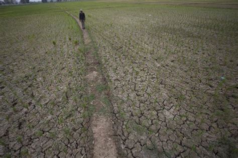 BMKG Ingatkan Ancaman Gagal Panen Dan Karhutla Imbas El Nino