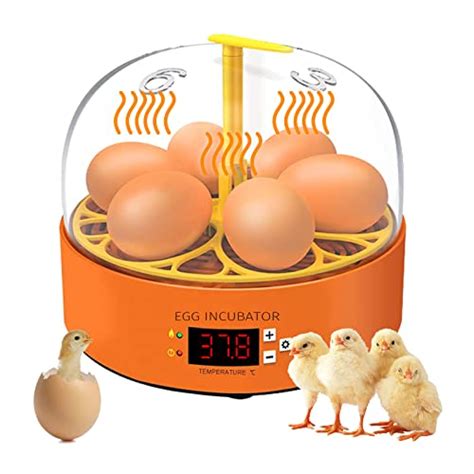 Best Automatic Egg Incubators For Hatchlings