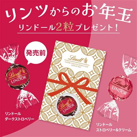 リンツからのお年玉2024 年末年始に「リンドールポチ袋」「リンドール福くじ」、福袋2024店頭販売は正月から ランチバッグ