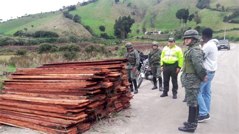 Metros C Bicos De Madera Ilegal Retenidos En Carchi Ministerio