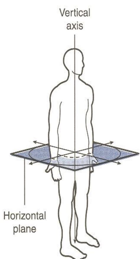 Movements planes - Movement principles - Exercise Education Lab