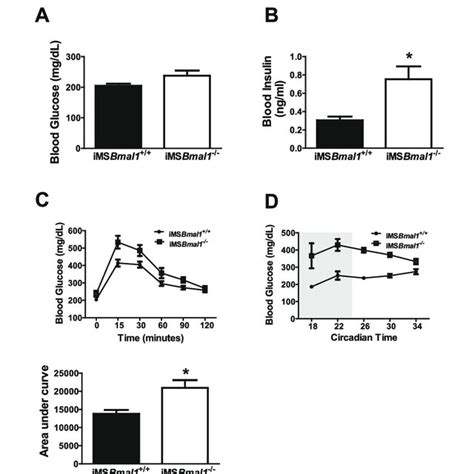 Imsbmal1 −− Mice Display Altered Systemic Glucose Handling A Fasted