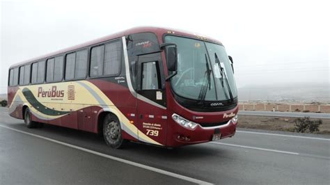 Sutran Pasajeros De Transporte Interprovincial Mayores De A Os