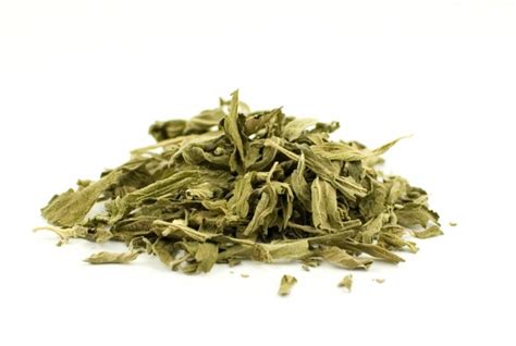 Dagga Leaf, South African Organic DAGGA, Fresh Dried Leonotis Nepetifolia, Smooth Smoke or Tea 8 ...