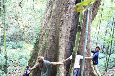 3 Days Trek Forest Camp Countryside Hill Tribes Hidden Caves Phou