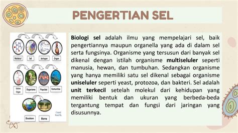 Solution Materi 1 Biologi Sel Ppt Studypool