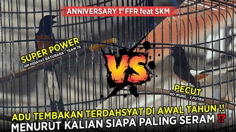 Murai Batu PECUT VS Murai Batu SUPER POWER Adu Tembakan Terdahsyat