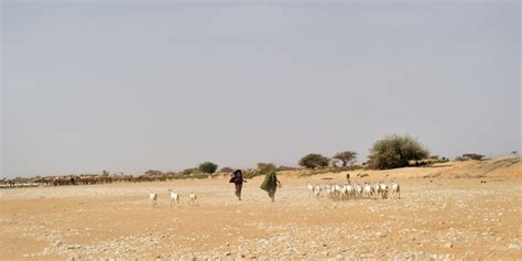 Somalia Ruft Wegen Schwerer D Rre Den Notstand Aus Wetter At