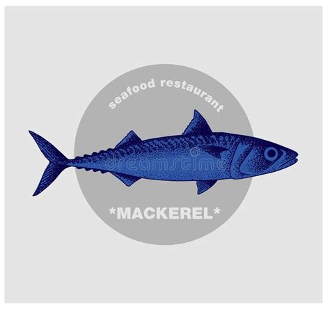 Mackerel Vector Stock Illustrations 3435 Mackerel Vector Stock